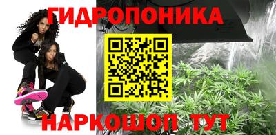 метамфетамин Гатчина