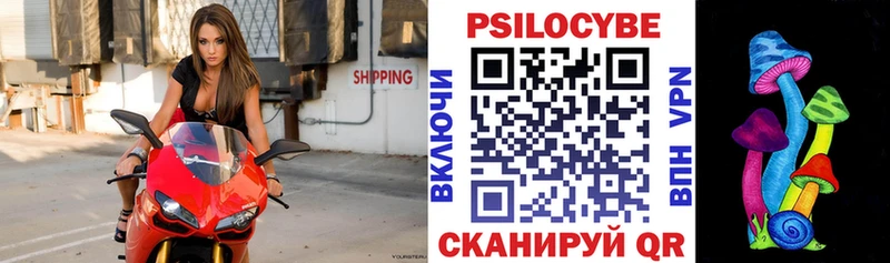 Галлюциногенные грибы мицелий  Звенигород 