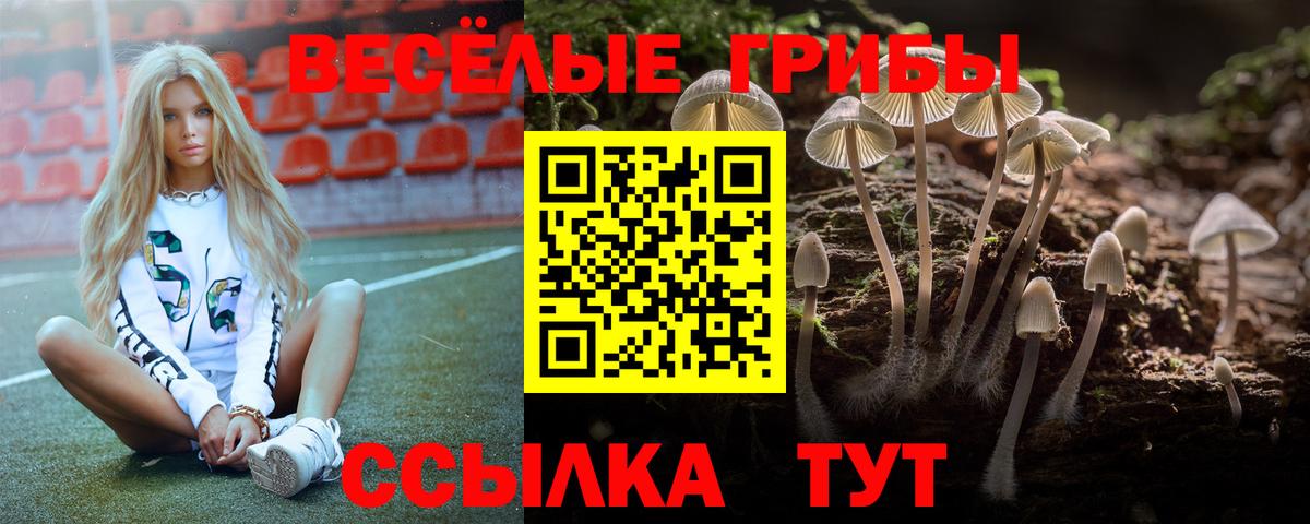Псилоцибиновые грибы GOLDEN TEACHER  Галлюциногенные грибы прущие грибы  Вход с VPN  Звенигород 